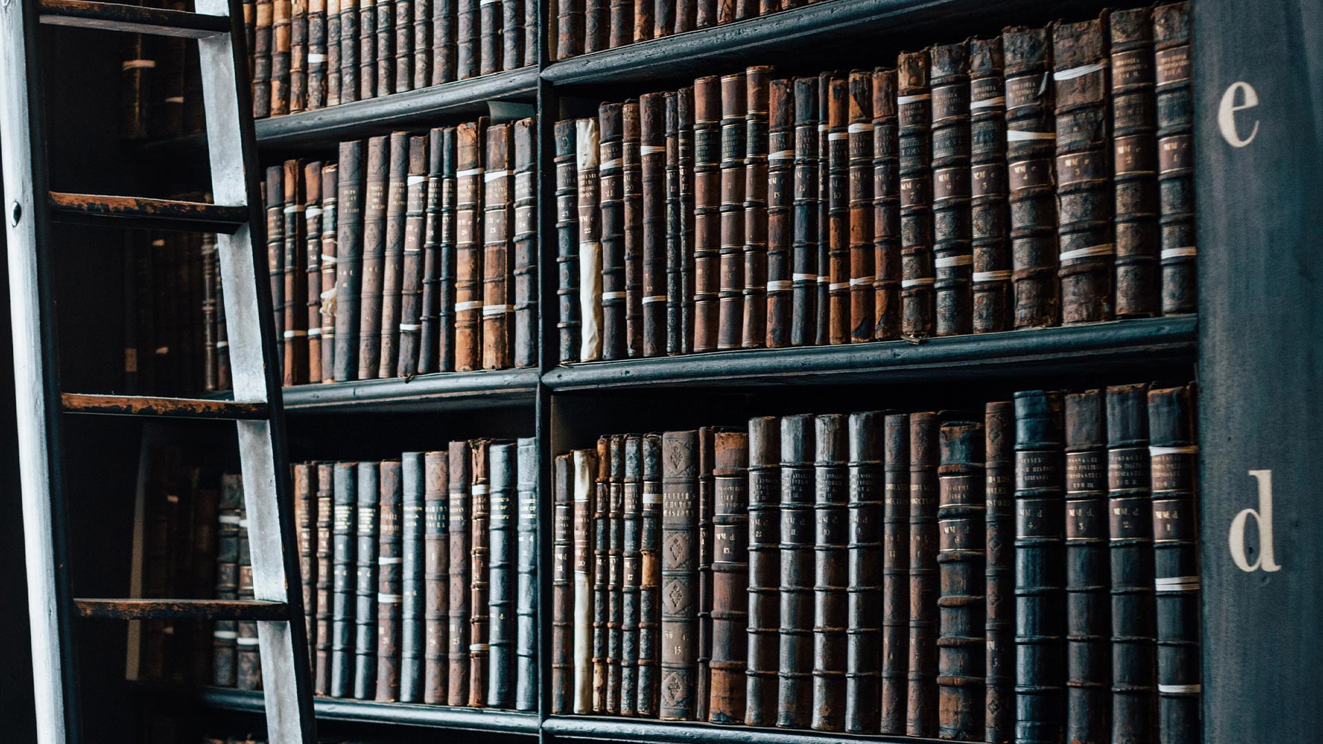 Library bookshelf and ladder